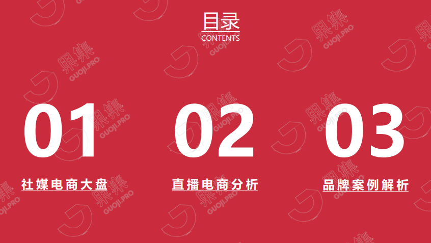 双十一个护家清行业报告目录内容