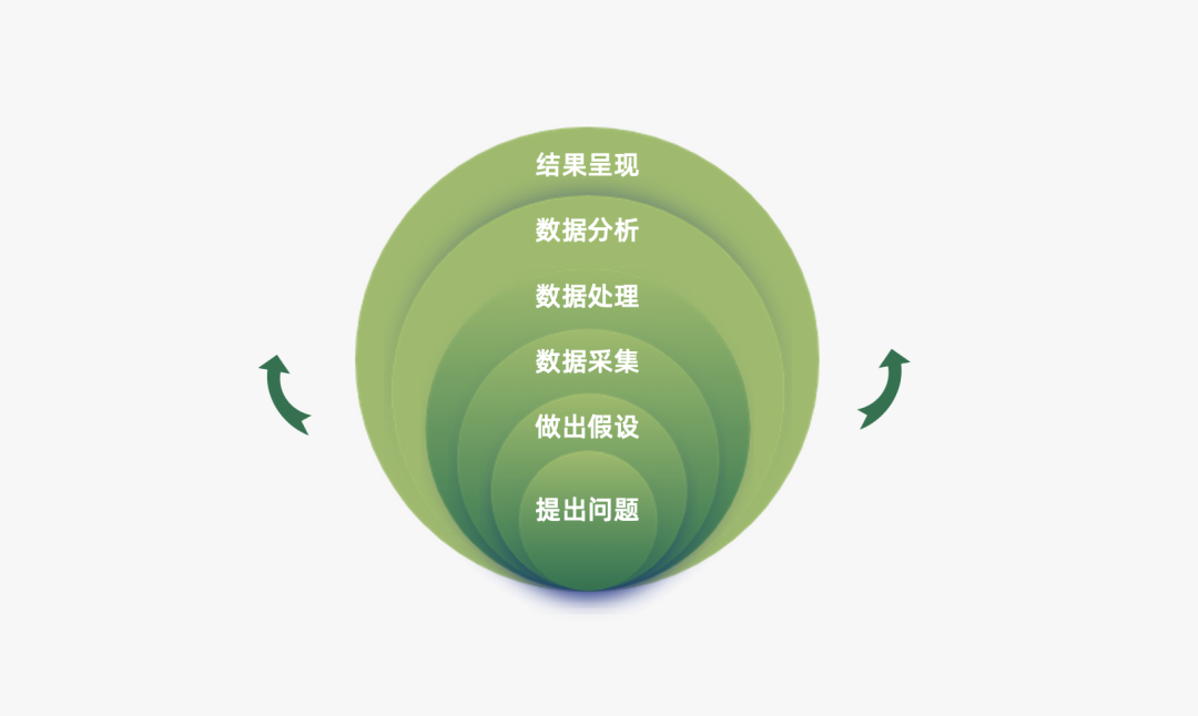 小红书代运营