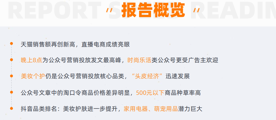 双十一投放研究报告目录