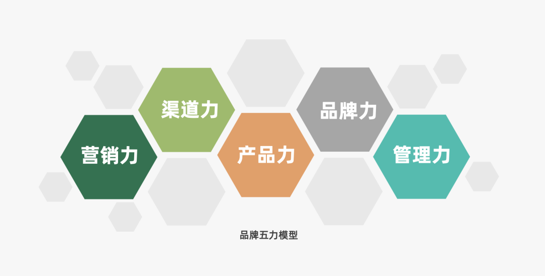 小红书代运营