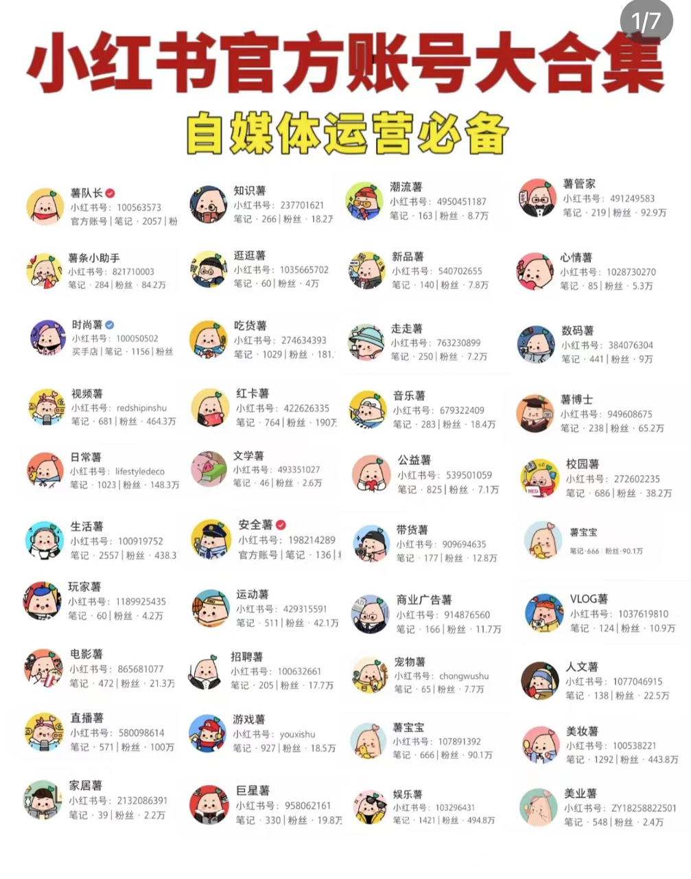 小红书代运营