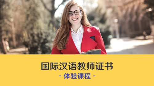 国际中文教师证书体验课程
