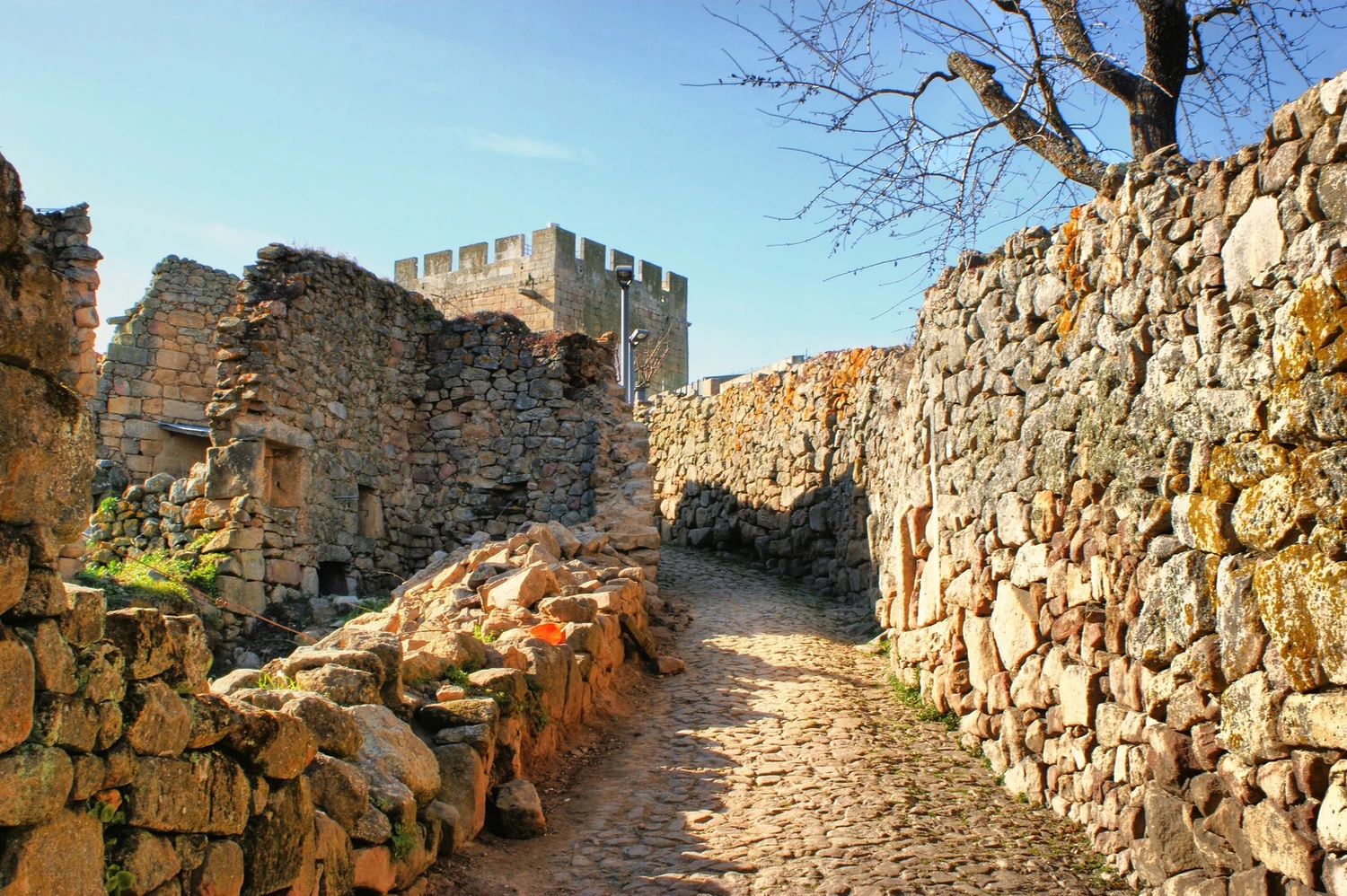 Section image
