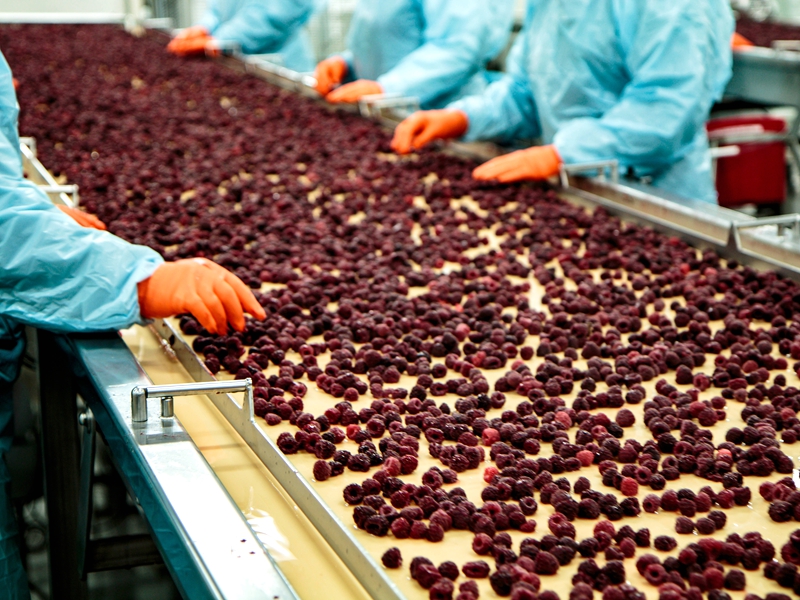 昆山市山得隆机械果蔬深加工设备专家