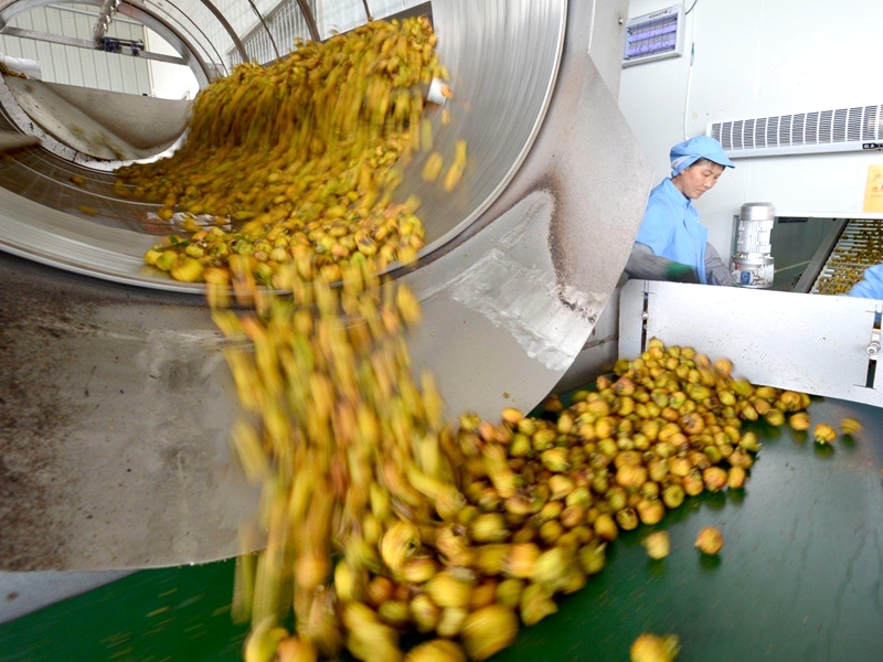 昆山市山得隆机械果蔬深加工设备专家