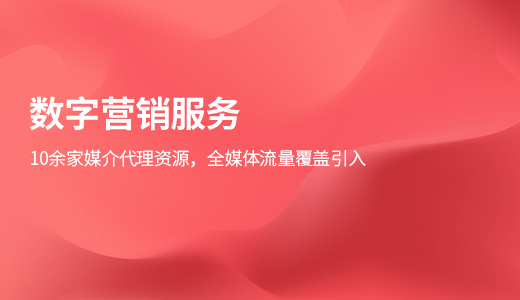 广告投放,营销策划,内容种草，IP孵化