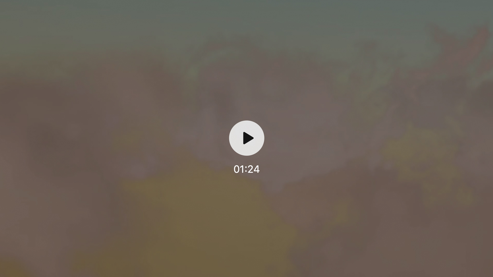 broken image