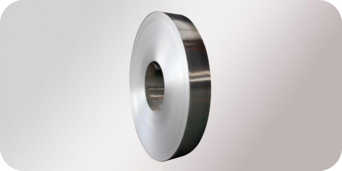 Stainless Steel Strip