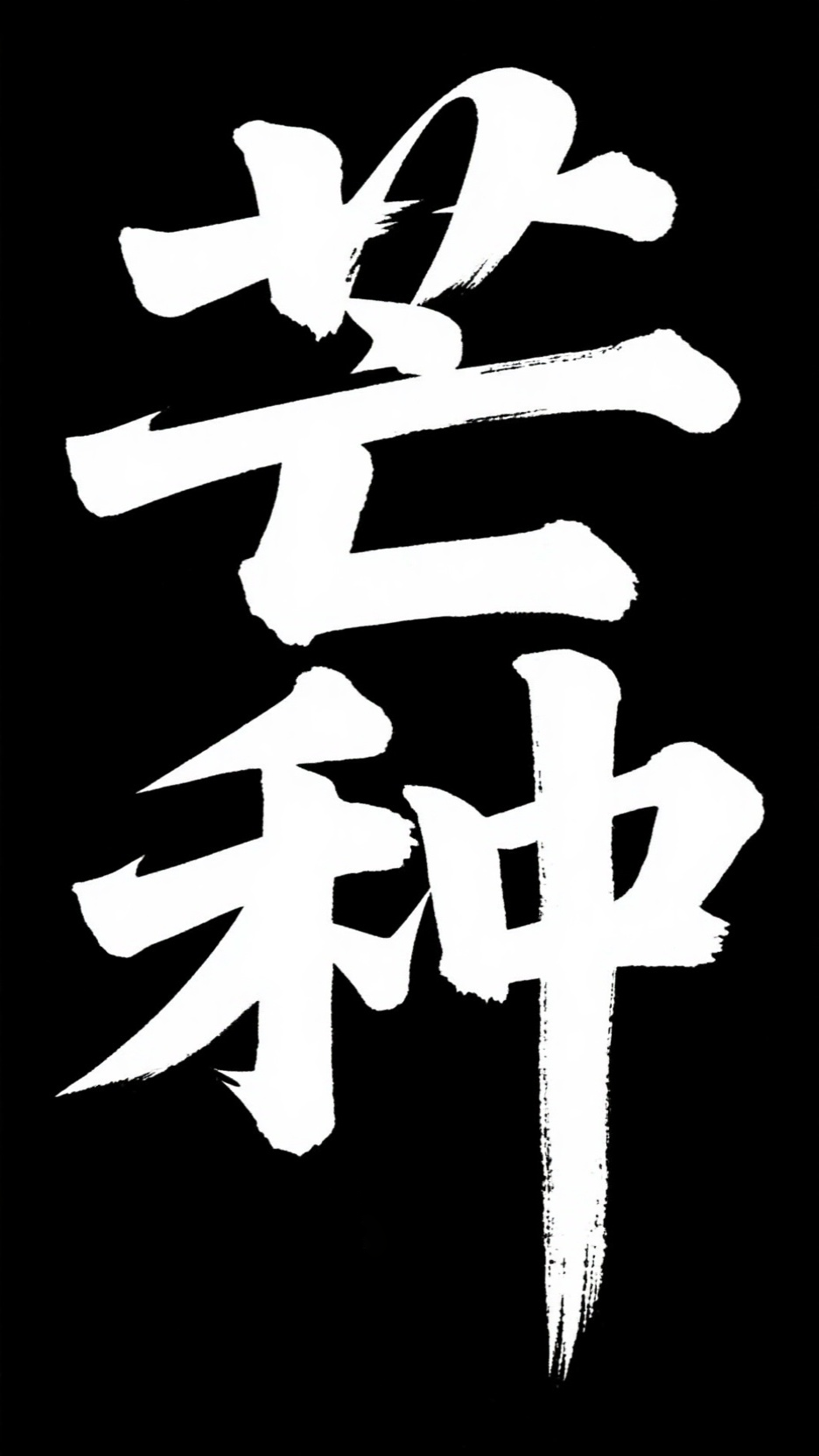 字体设计 15