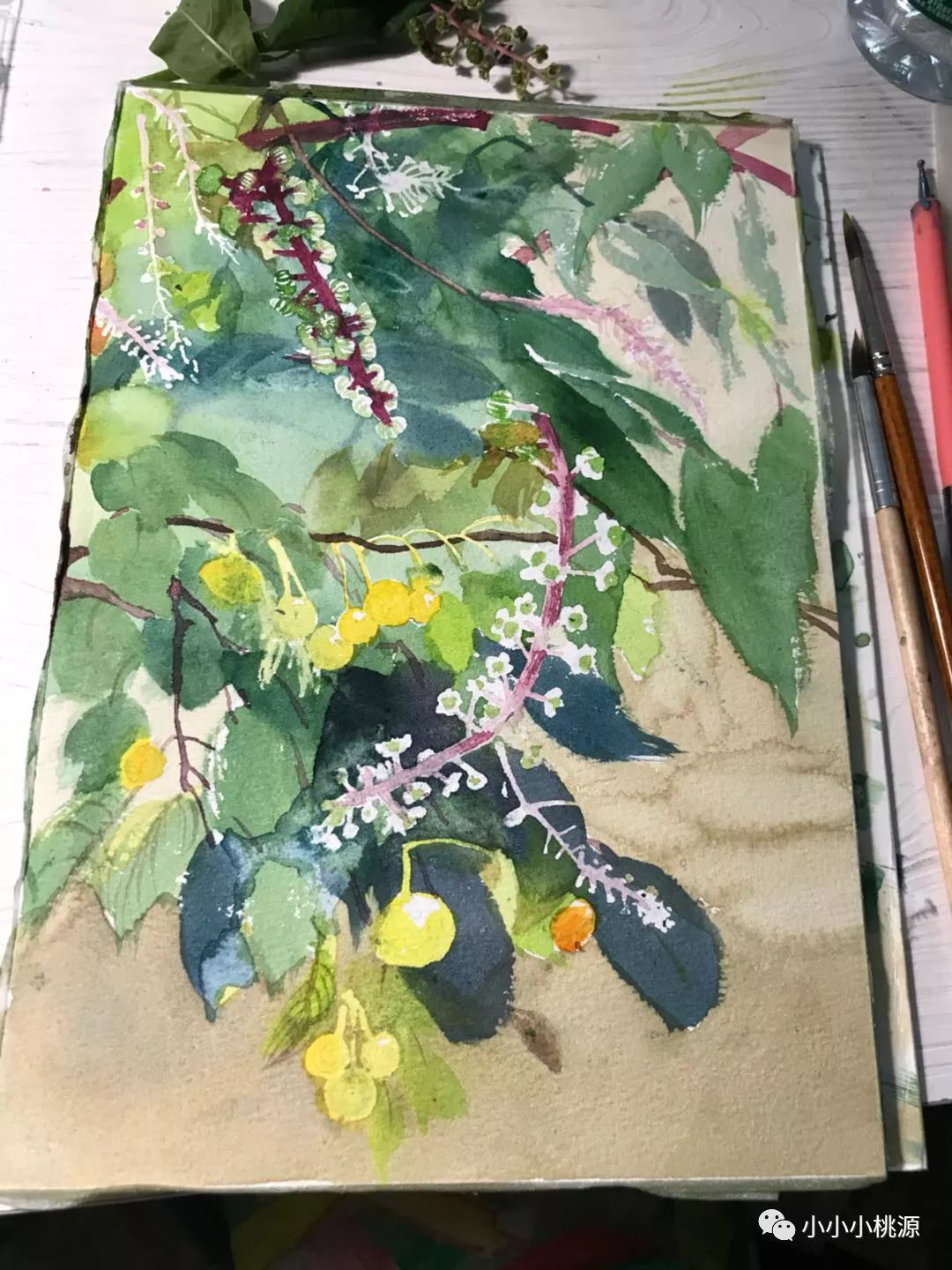 硕果问安，已近秋，纸上水彩，260*180，亚男画于大连家中