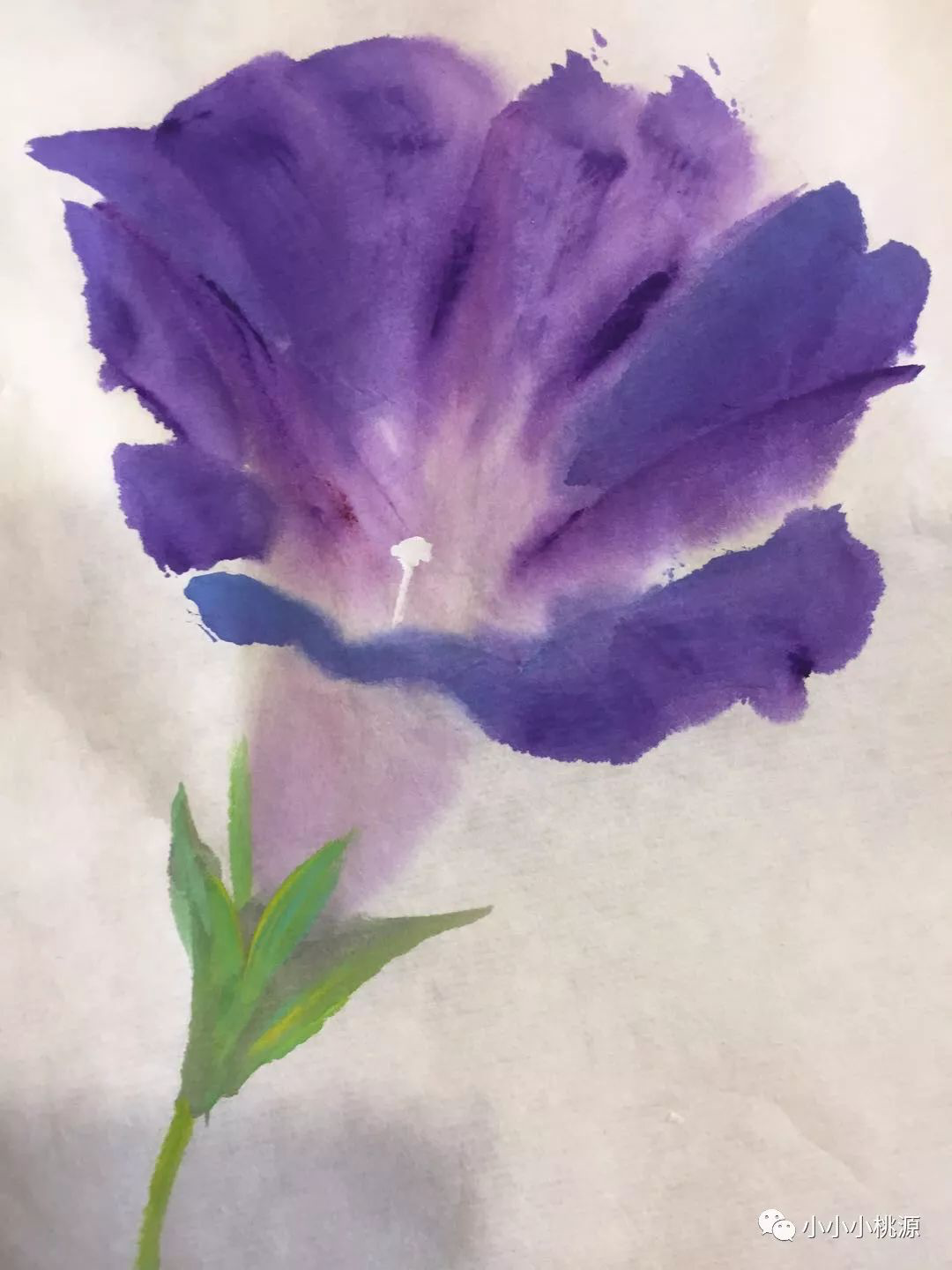 一分钟绘制的牵牛花，熟宣纸片，国画颜料