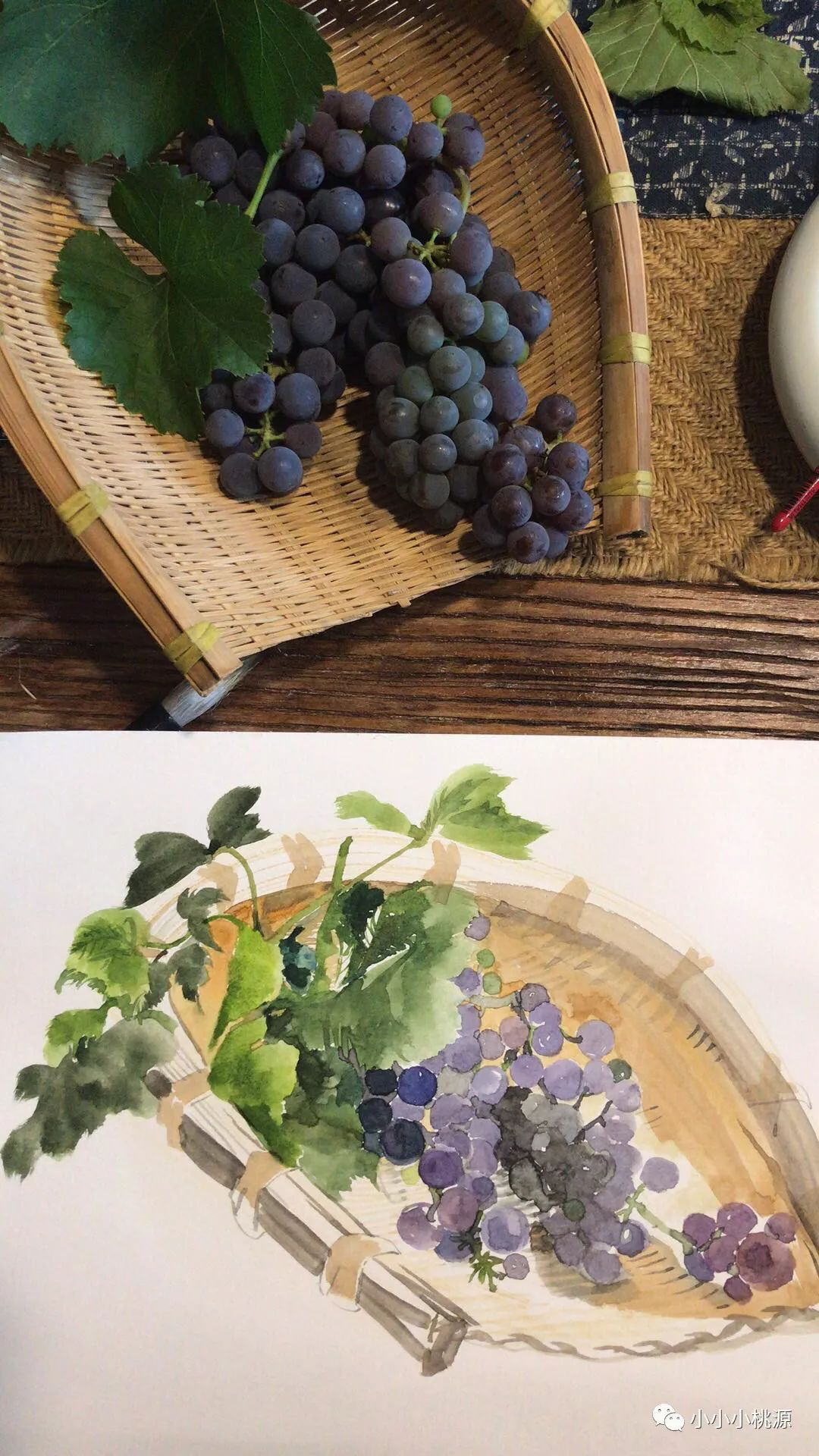 葡萄速写，纸上水彩，亚男画于大连朴园葡萄成熟时