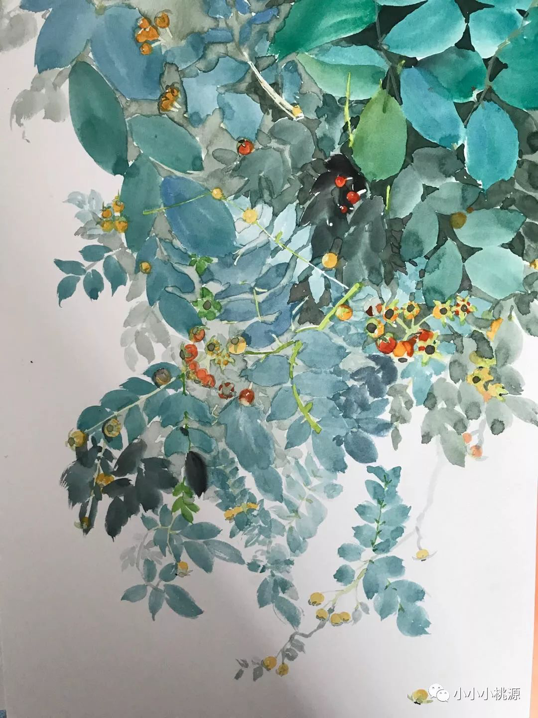 月季花果，纸上水彩，380*260 亚男画于大连工作室