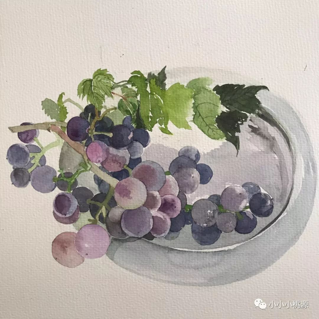 葡萄写生，纸上水彩，亚男画于朴园葡萄架下