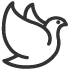 broken image