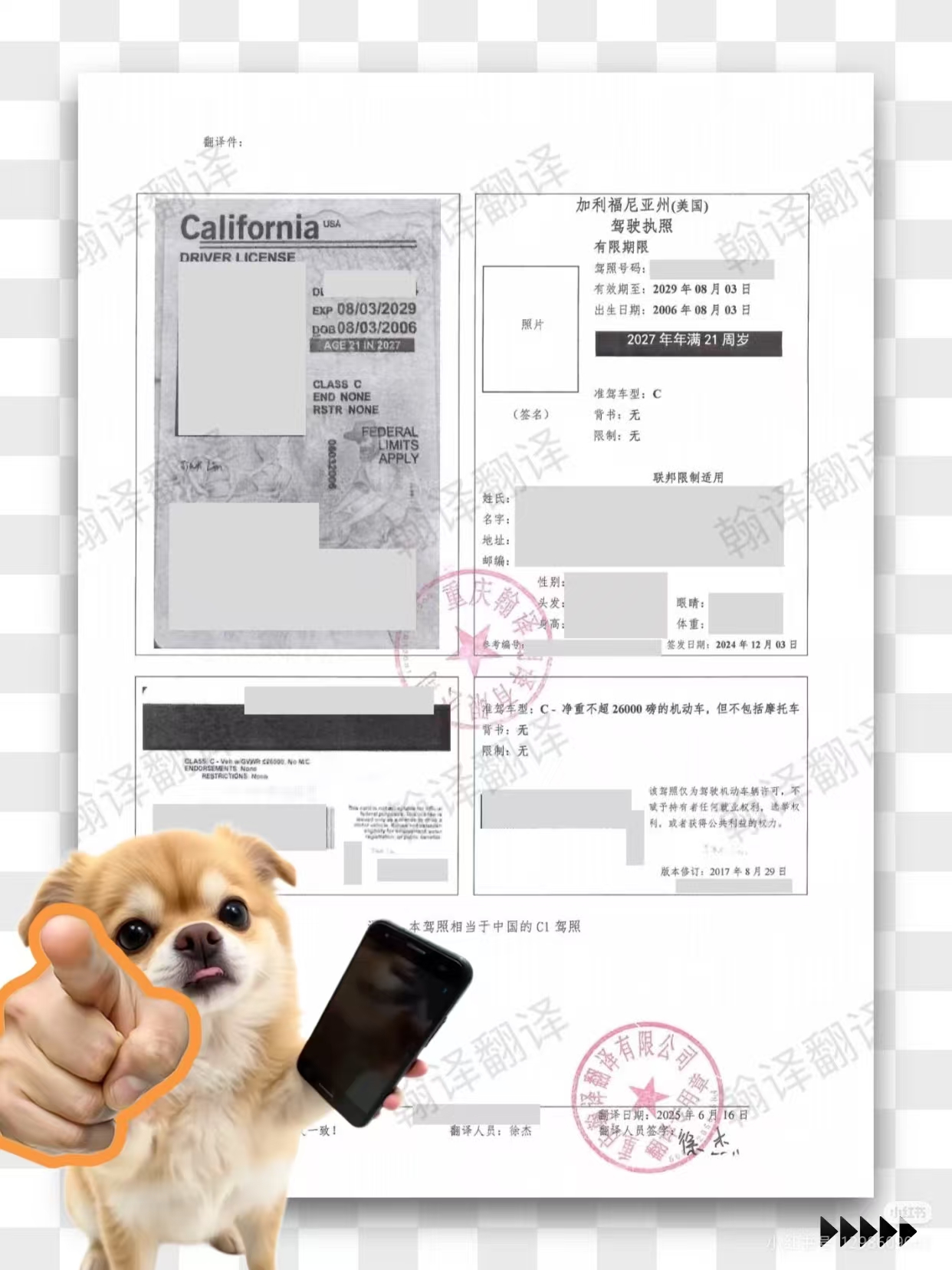 翰译翻译公司翻译的美国加利福尼亚州驾照