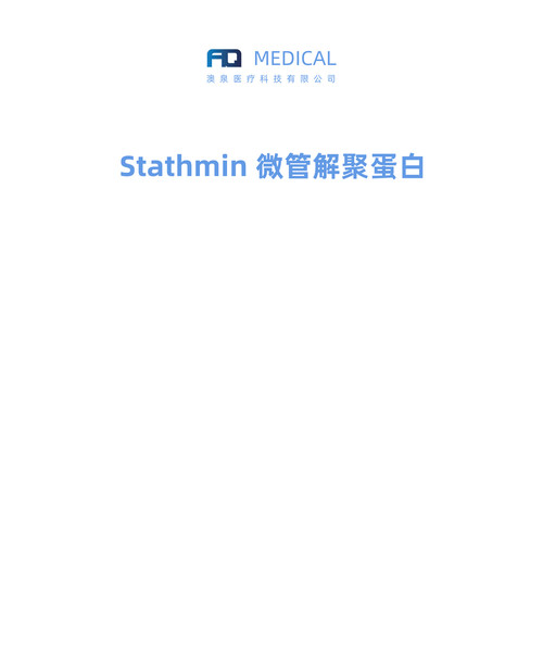 Stathmin 微管解聚蛋白