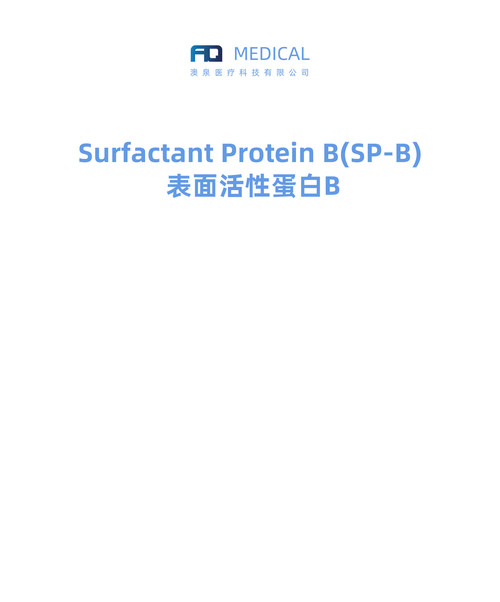 Surfactant Protein B (SP-B)  表面活性蛋白B