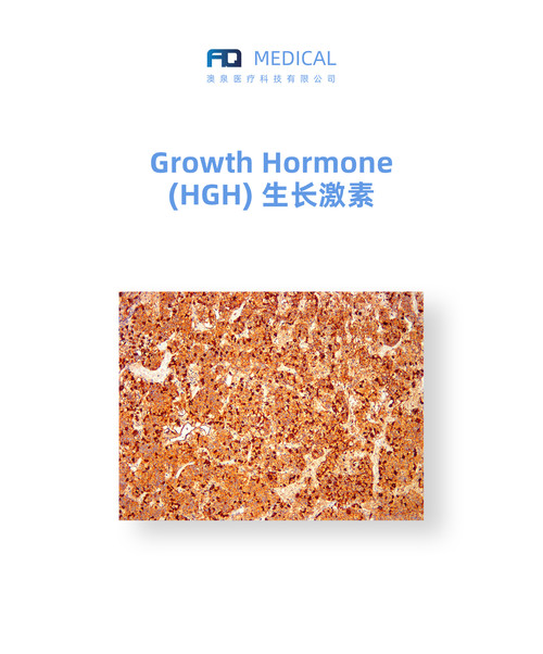 Growth Hormone (HGH)  生长激素(hGH)