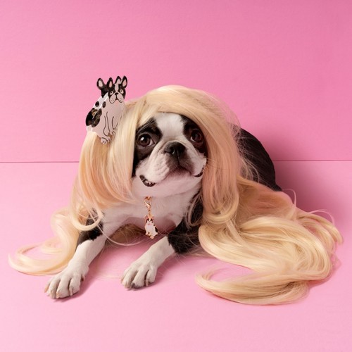 Coucou Suzette -Bulldog Hair Claw /  CCS-PINCEBOULEDO-GUE