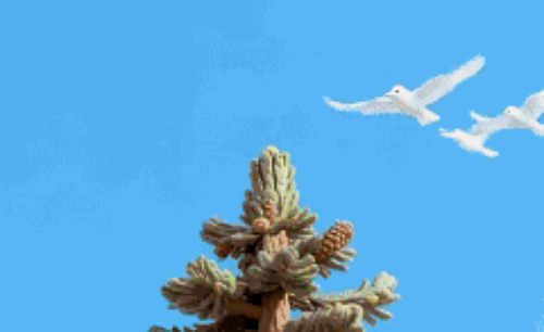 Section image