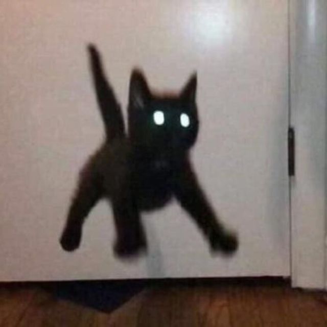 broken image