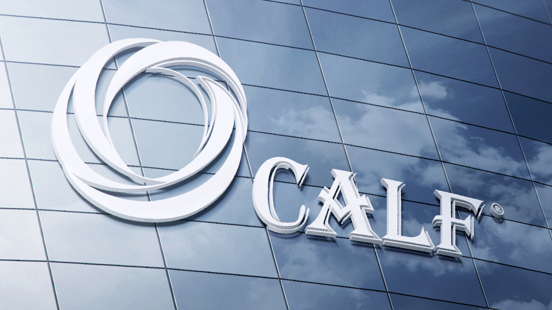 先鋒鋸業 品牌標識設計 Brand Identity Design for Calf Brand