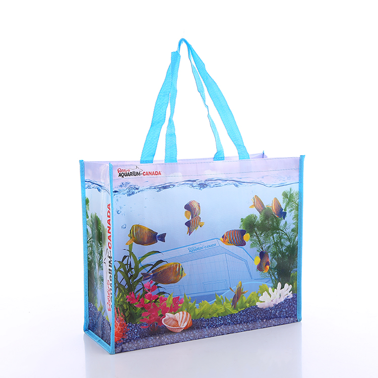 Non woven lamination bag shopping bag eco bag