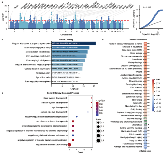 图1 病因性PD猴模型从临床表型到病理表型均高度模拟PD病人