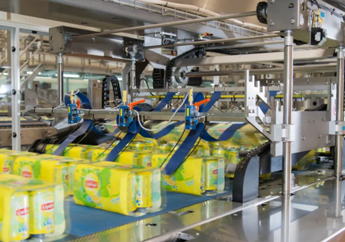 Shrink Wrapper Machine