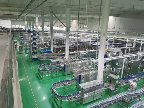 Conveyor System