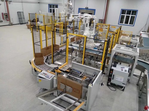 Palletizer System