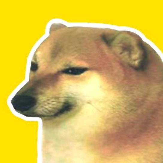 broken image