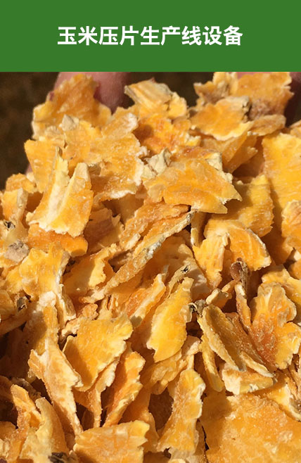 玉米压片生产线设备
