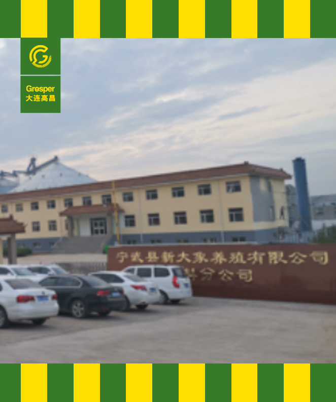 山西大象集团 200T玉米压片生产线