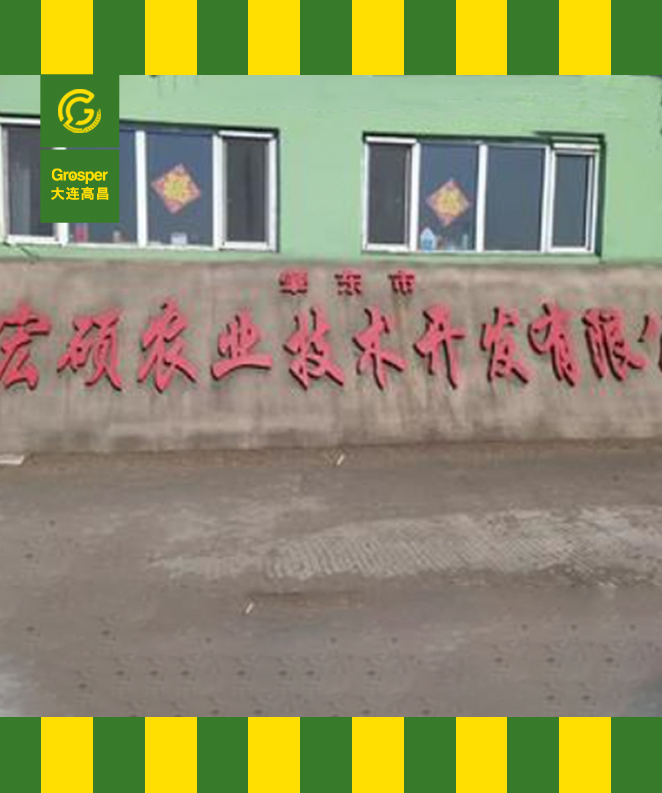 黑龙江丰中科金玉200T玉米压片生产线