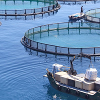 Marine Aquaculture