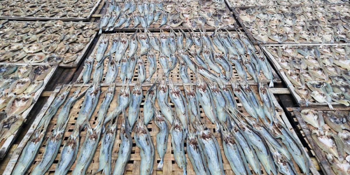 Overfishing - Threats