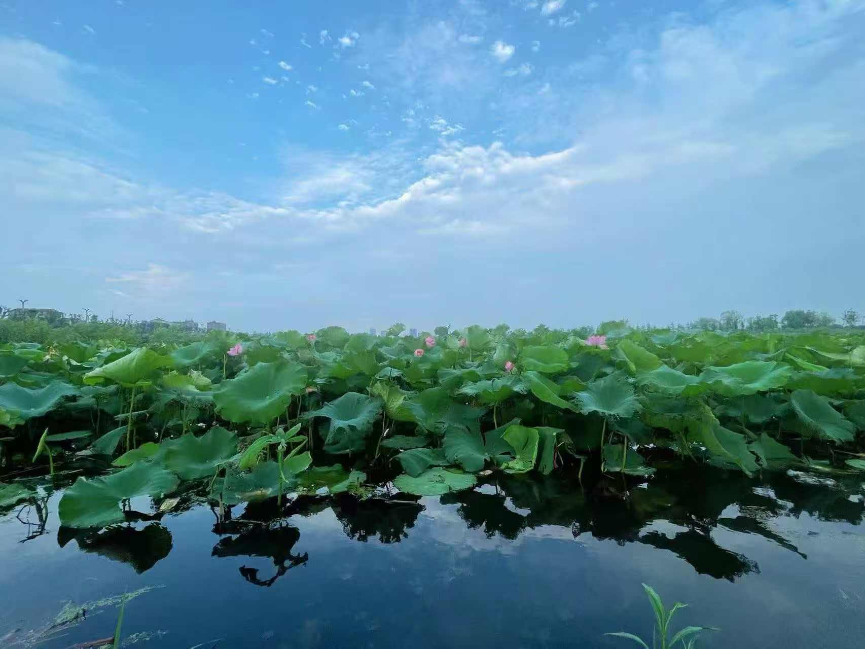   企业精神文化是用以指导企业开展生产经营活动的各种行为规范、群体意识和价值观念，是以企业精神为核心的价值体系。集中体现在一个企业独特的、鲜明的经营思想和个性风格，反映着企业的信念和追求，是企业群体意识的集中体现。 简介.    企业精神文化(The spirit of enterprise culture)代表着企业广大员 企业精神文化  企业精神文化 工工作财富最大化方面的共同追求，因而同样可以达到激发员工工作动机的激励功能。它包括企业哲学、企业精神、企业经营宗旨、企业价值观、企业经营理念、企业作风、企业伦理准则等内容，是企业意识形态的总和。  1.企业哲学。是指企业在经营管理过程中提升的世界观和方法论，是企业在处理人与人、人与物关系上形成的意识形态和文化现象。  2.企业精神。是企业全体或多数员工共同一致，彼此共鸣的内心态度、意志状况和思想境界。  3.企业经营宗旨。是企业要达到或实现的最高目标和理想。  4.企业价值观。是指企业在追求经营成功过程中所推崇的基本信念和奉行的目标，是企业全体或多数员工一致赞同的关于企业意义的终极判断。  5.企业经营理念。主要指企业的生存价值、社会责任、经营目的、经营方针、经营战略和经营思想。  6.企业作风。指企业员工对待工作的状态、情绪、信心、责任与习惯。  7.企业伦理准则。是有关忠实和公正，以及有关诸如社会期望、公平竞争、广告、公共关系、社会责任、消费者的自主权和在国内外原公司行为等多种方面的行为准则。  另外，在这7个核心理念的指导下，还要形成企业的学习观、创新观、竞争观、人才观、服务观等，构成企业精神文化。  .  折叠 编辑本段 建设意义.    企业文化建设，是新世纪企业生存和发展的内在需要。  建设企业文化，充分发挥人的作用，是当今世界企业发展的一种趋势，是经 企业精神文化  企业精神文化 营企业的新思想、新观念。调动和科学组织广大职工的积性、智慧和创造力，是现代化管理的高层次选择。  建设企业文化，增强企业的凝聚力和在市场上的竞争力，使企业生存和发展的根本战略。通过建设企业文化，增强企业活力，保证市场经济健康发展，促进经济上新台阶的迫切需要。  树立企业文化的战略意识，增强企业文化的战略观念，强调企业文化的战略决策，进行企业文化的战略实施，是当前转换经营机制和进行科学管理以赢得市场经济竞争优势的迫切需要和必然趋势。  通过企业文化建设，培育企业价值观把企业全体员工拧成一股绳，为实现企业目标而奋斗。  企业文化建设对企业凝聚力、吸引力、战斗力、公信力等的形成和提高具有重要意义:  凝聚力--是一个企业的核心力，如能将员工比作一根线，那企业就是由线拧成的一股绳，绳的结实程度就是凝聚力。优秀的企业文化就是一双编绳的巧手。  吸引力--是一个企业的向心力，让员工贴得更近，让外界人员靠得更近，这就是企业文化的魅力。  战斗力--是员工的作战能力，优秀的企业文化能让员工思想统一，而思想统一才能步调一致，步调一致的团队才有战斗力。  公信力--健康的企业文化，不但是企业员工的精神支柱，也能提高企业的公众信誉，给企业带来难以估计的社会效益。  .  折叠 编辑本段 判断标准.    1、以人为中心进行管理 文化管理认为，在人、财、物诸因素中，人 企业精神文化  企业精神文化 是首要因素，人应该成为企业管理的出发点和归宿点。  对内，尊重员工，关心员工，千方百计调动员工的内在积极性、创造性。虽然信息、财务、人力资源、安全、服务、技术等工作非常重要，但要靠人去驾驭、靠人去创造。所以，人应该成为企业家关注的中心，工作的重点。树立起一切为了职工、一切依靠职工、全心全意为职工服务的宗旨。只有充分激发员工的主人翁精神，才能齐心协力渡过难关，企业才能得到更大的发展。企业与员工之间不仅仅是雇佣与被雇佣的劳动和金钱关系，而且也是共同的创造者。所以要充分考虑员工的多层次需要，尽量创造员工自尊和自我实现需要的得到满意的良好环境。促使员工创造出远远超越他们报酬的价值。文化管理处在一个知识经济时代，而创新的主体是人，人才的竞争将成为未来竞争焦点，所以实行以人为本的管理其意义极为深远。  对外，要以用户(乘客)为中心，关心用户，时时处处为用户着想，树立"乘客就是上帝，乘客就是衣食父母"的观点和企业宗旨。企业全体员工要真正认识到，乘客是企业生存的前提，了解乘客的需求，满足乘客的愿望是企业永远追求的目标。  2、下工夫培育企业员工的共同价值观  人的行为无不受观念和感情的驱使，只有员工群体协调一致的努力，企业才会赢得成功。协调一致的群体行为依赖于共同信守的价值观的培育。因此，培育企业的共同价值观，是登上文化管理台阶的基本标志。北京运通客运有限公司是一家自主经营，自负盈亏、不享受政府财政补贴为社会提供了大量就业岗位的公益性城市公交企业，自1999年成立至今二年时间，企业总资产从当初的400万元发展到现在的8500万元，在这个创造过程中，靠的不是资金、设备、厂房，而是企业的发展战略目标和 "爱岗敬业、任劳任怨、创造业绩、体现价值"的共同价值观念。由于全体员工有了共同的奋斗目标和价值观，创造积极性被极大的调动起来，仅用了二年多的时间，使企业从无到有，从小到大，可见，培育共同的价值观是凝聚人心、创造奇迹的关键所在。  3、企业制度与共同价值观协调一致  企业精神文化  企业精神文化 企业的内部管理制度，对员工来讲是外加的行为规范，它与内在的行为和道德规范-群体价值观是否一致，是衡量一个企业是否真正确立和文化管理的观念。存在决定意识，不同的制度强化了不同的价值观。平均主义的分配制度强化"平庸"和"懒汉"的价值观。按劳报酬的分配制度强化了"进取"和"劳动"的价值观，真是泾渭分明。运通公司的目标责任制体现了创造业绩、追求卓越、多劳多得、少劳少得、不劳不得的价值观。  4、管理重点由行为层转到观念层  无数客观事实证明，单纯对人的行为的管理和控制并不能换来高效率和创造性。人是有思想、有感情的，人们的工作兴趣、工作热情、敬业等思想感情方面的因素对工作的效果起着十分重要的作用。尤其在知识经济的时代，新知识、新技术要靠人类的脑力劳动来制造，而脑力劳动看不见，摸不着。科学管理依赖的对人的行为的严格控制，但无法适用于脑力劳动为主的企业，因此，管理重点由行为层转到观念层是企业进入文化管理阶段的显著标志之一。管理重点的转移，要求企业管理人员要注重满足员工自尊和自我实现需要，鼓励员工的敬业精神和创新精神，注重培养共同的价值观。  5、实行"育才型"领导  我们可以把领导方式分为三类，即师傅型、指挥型、育才型。前两类可统称为.英雄型，其特点是权利和责任高度集中，任何重要决策只由一人做出，不尊重下级的创造性和智慧，只关心工作任务的完成，不关心下级的冷暖和成长。育才型的领导则实行分权管理，上下级共担责任，共同控制;尊重下级的创造性智慧，既关心工作任务的完成，又关心下级积极性的发挥和思想能力的培养;干一切工作都依靠配合默契的团队，培养团队精神应成为领导者注意的焦点。运通公司的领导方式属于育才型，有严格的组织分工和目标责任制，横向到边，纵向到底。  6、软管理与硬管理的巧妙结合  所谓硬管理是指执行规章制度，进行直接的外部监督以及外部命令等刚性管理。所谓软管理是指开展思想工作，培育共同价值观，建立良好的企业风气，形成和谐的人际关系等柔性管理。科学管理主要靠硬管理，而文化管理则要求刚柔相济，软硬结合，共同价值观和规章制度都是企业文化的组成部分，制度和纪律是强制性的、硬的，但它们要靠企业精神和共同价值观来自觉的执行和遵守;企业精神、企业道德、企业风气是非强制性的、软的，但其形成的群体压力和心理环境对员工的推动力是不可抗拒的、是硬的。特别是这种软环境的建立和维持，一点也离不开通过执行制度、进行奖惩等措施来强化。软环境保证硬管理，硬环境强化软管理，这就是软硬文化管理的辩证法。  企业拥有一个好的标志，在企业发展过程中占有非常重要的一部分，为企业在广告传播中树立了一面鲜明的旗帜，每一个有长远规划企业都非常重视标志的建立。企业的标志，犹如人之眼睛，能折射出企业的做事、做人。  在标志设计方面有我们独特的设计理念，不人云亦云，坚持走原创的路线，为信任我们的客户提供高品质的设计方案，为创造经典的标志，我们从不在乎您的挑战。  .  折叠 编辑本段 作用.    企业精神文化是支撑企业文化体系的灵魂。企业文化作为整体是动态的，被 企业精神文化  企业精神文化 企业外部环境所制约，时代的变化，消费模式的变化，都会影响企业文化的发展变化。在当今社会，诸如以什么样的态度和方法对待市场和顾客、以什么样的态度和方法对待效率和效益、以什么样的态度和方法对待员工和社会，已经成了塑造企业精神文化的新课题。以人为本的企业价值观。以人为本就是把人视为管理的主要对象和企业的最重要资源。股东有投资增值的需要，管理者有权力、地位、成就感和与取得其贡献相适应的经济报酬的需要;顾客有获得质量高、价格低、方便快捷的产品和服务的需要。企业如果不能满足这些需要，股东就要抛售股票，管理者就要跳槽，顾客就不会买企业的产品。企业只有持续地以人为本、不断创造解决人的需要的新途径，才能不断创造更高的效率和效益。在企业内部，以人为本的核心是解决员工和企业的关系问题，也就是如何看待企业员工的权利和需要的问题。在信息时代，员工多元化的价值追求，不仅仅是满足的需求，而且是创造力的源泉。在重新构建的企业文化中，人的自我实现的价值在于创造而不在于权利，在于工作而不在于等级。企业创造的文化，正在潜移默化地改变着世界。信息时代的企业组织形式也要适应以人为本的价值观，这种组织形式和组织制度不仅要考虑到人员的职业，还要考虑到人员的兴趣、爱好、脾气、秉性以及他们可能的发展方向。  参与、协作、奉献的企业精神。企业精神是全体员工共同一致、彼此共鸣的内心态度、意志状况和思想境界。在当今社会，参与、协作、奉献已经成为现代企业员工值得倡导的一种意 企业精神文化  企业精神文化 志状况和思想境界。参与首先指的是参与管理，参与管理是企业兼顾满足员工各种需求和效率、效益要求的基本方法。在实施员工参与管理的过程中，要特别注意引导，要反复把企业当前的工作重点、市场形势和努力的主要方向传达给员工，使员工的参与具有明确的方向性。实施参与管理要根据员工知识化程度和参与管理的经验采取不同方式。第一阶段为控制型参与管理，第二阶段为授权型参与管理，第三阶段为全方位参与管理。协作是现代企业精神必须强调的重要内容，促进协作精神的方法又是多种多样的。奉献精神是与企业的社会责任相联系的一种企业精神，是指在组织企业经济运营过程中关心整个社会的进步与发展，为社会多做贡献的境界，企业通过参加社会公益事业，在公众中树立企业注重社会责任的形象，提高企业的美誉度，强化企业的道德责任感。以市场为导向的经营哲学。市场是企业经营管理的出发点和归宿，是企业一切管理活动的依据，也是企业经营哲学的核心。企业领导在确立以市场为导向的企业经营哲学的过程中，为适应信息化的社会，必须强化对全体员工的教育和培训。这种教育和培训是复合式的，是多向的，是多线互动的。所有成功的企业，它所确立的经营哲学都是从外到内、依据市场情况决定的。以市场为中心进行管理定位，不是一种简单的、线形的、因果式的关系，而是一种交互式的关系。企业必须通过市场调查和分析来确定各种需求的内容和边界，来优化企业生产要素，调动企业力量，调整企业管理方式。市场的潜在需求则需要企业在市场调查和分析的基础上发挥创造力和想像力，把握技术的发展动向，预测市场潜力，进行风险决策。无论是满足需求还是创造需求，企业必须建立与市场间强有力的联系渠道，建立快速、准确的市场信息系统。